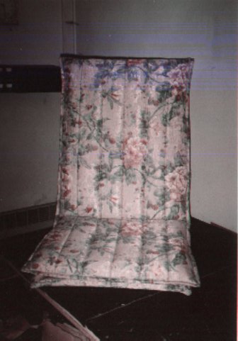 fin05.jpg(26 kb)